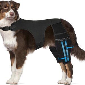 Dog Knee Brace for Torn Acl Hind Leg
